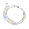 Electroplate Glass Beads Strands EGLA-P065-01A-01-2