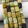 Natural Serpentine Beads Strands G-D098-D06-1
