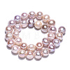 Natural Cultured Freshwater Pearl Beads Strands PEAR-N013-10B-4