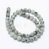 Natural Sesame Jasper/Kiwi Jasper Beads Strands G-F518-18-6mm-2