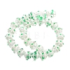 Glass with Enamel Beads Strands GLAA-M047-01H-2