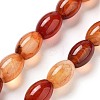 Natural Red Agate Beads Strands G-B106-B06-01-2