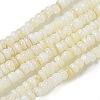 Dyed Natural Freshwater Shell Beads Strands BSHE-G039-07N-1