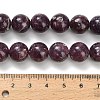 Natural Lepidolite/Purple Mica Stone Beads Strands G-H335-B03-12mm-A-5