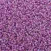 MIYUKI Round Rocailles Beads SEED-G007-RR0264-2