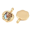 Brass Natural Paua Shell Irregular Pendants KK-I453-01G-01-2