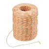 Handmade Iron Wire Paper Rattan OCOR-WH0058-03A-1