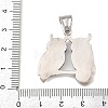 304 Stainless Steel Rhinestone Pendants STAS-K316-06A-AS-3