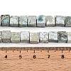 Natural Variscite Beads Strands G-T140-41A-5