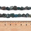 Natural Apatite Beads Strands G-F821-F01-01-5