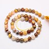 Natural Crazy Lace Agate Beads Strands G-G542-14mm-10-2