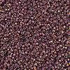 MIYUKI Delica Beads X-SEED-J020-DB1013-3
