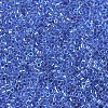 MIYUKI Delica Beads SEED-MY11-DB0077-3