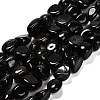 Natural Black Agate(Dyed and Heated) Beads Strands G-P568-C16-01-2