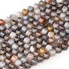 Natural Botswana Agate Beads Strands G-P611-C08-01-2