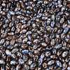 Glass Seed Beads SEED-T009-02N-3