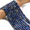 Natural Lapis Lazuli Beads Strands G-P608-A06-01-1