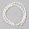 Natural Freshwater Shell Beads Strands SSHEL-R048-007B-2