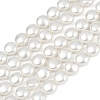 Electroplated Shell Pearl Beads Strands BSHE-G027-13A-2