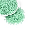 6/0 Transparent Inside Colours Glass Seed Beads SEED-N008-08I-1