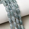 Natural Myanmar Jadeite Beads Strands G-F822-C01-01-1