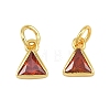 Brass Pave Cubic Zirconia Charms CU-CBA3D67-10G-04-1
