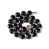 Dyed & Heated Natural Black Agate Bead Strands G-NH0013-A02-01-3