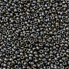 TOHO 11/0 Round Beads X-SEED-TR11-0613-2