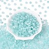 FGB Grade A Drawbench Style Glass Seed Beads SEED-Q040-02A-06-1