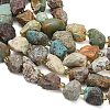 Raw Rough Natural HuBei Turquoise Beads Strands G-A322-B03-02-3