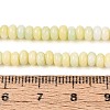 Ombre Effect Dyed Glass Beads Strands GLAA-T030-07A-05-4