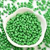 Baking Paint Glass Seed Beads X1-SEED-A032-02B-2