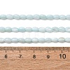 Dyed Natural Freshwater Shell Beads Strands SH-CBA2978-06C-4