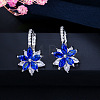Brass Cubic Zirconia Hoop Earrings WGBE890-03-1