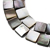 Natural Black Lip Shell Beads Strands SHEL-A006-09A-3