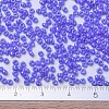 MIYUKI Round Rocailles Beads SEED-G007-RR0483-4