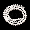 Electroplated Shell Pearl Beads Strands BSHE-C011-02-2
