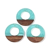 Resin & Wood Pendants WOOD-F015-14B-1