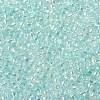 TOHO Round Seed Beads SEED-XTR11-0170-2