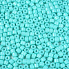 Opaque Baking Paint Glass Seed Beads SEED-T008-02O-3