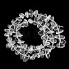 Natural Quartz Crystal Beads Strands G-P619-A01-01-3