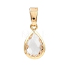 Glass Charms PALLOY-JF04360-1