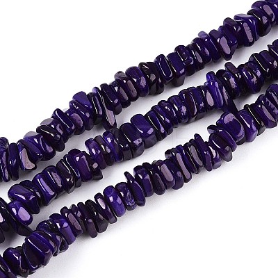Natural Freshwater Shell Beads Strands SHEL-T020-40B-1