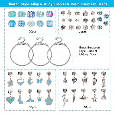 Tibetan Style Alloy & Alloy Enamel & Resin European Beads FIND-YW0001-30-1