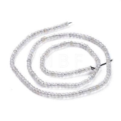 Natural Labradorite Beads Strands G-A026-C03-1