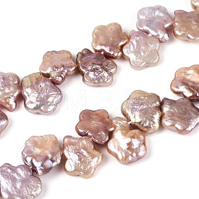 Natural Baroque Keshi Pearl Beads Strands PEAR-S020-A04-01-1
