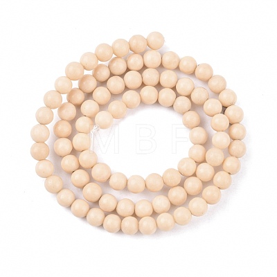 Natural Fossil Beads Strands G-E110-4mm-2-1