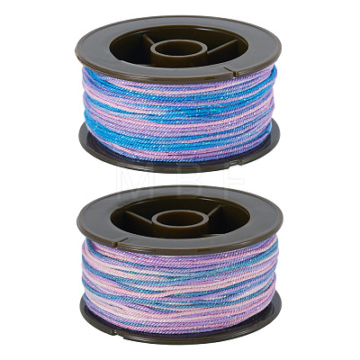 2 Rolls 2 Colors Segment Dyed Round Polyester Twisted Cords OCOR-TA0003-59B-1