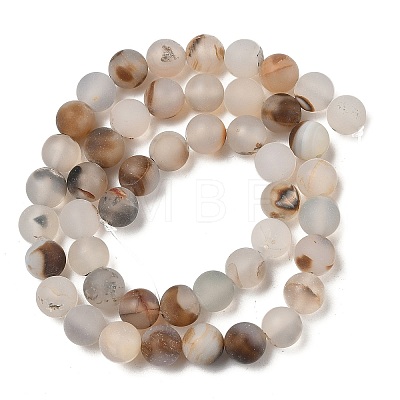 Natural Dendritic Agate Beads Strands G-A248-A04-02-1