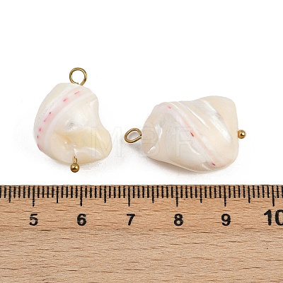 Natural Shell Nuggets Pendants X1-STAS-D378-30G-1